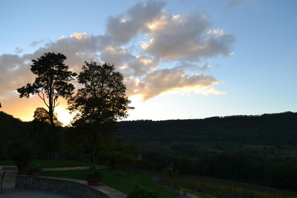 Agriturismo Lapone Orvieto Bagian luar foto