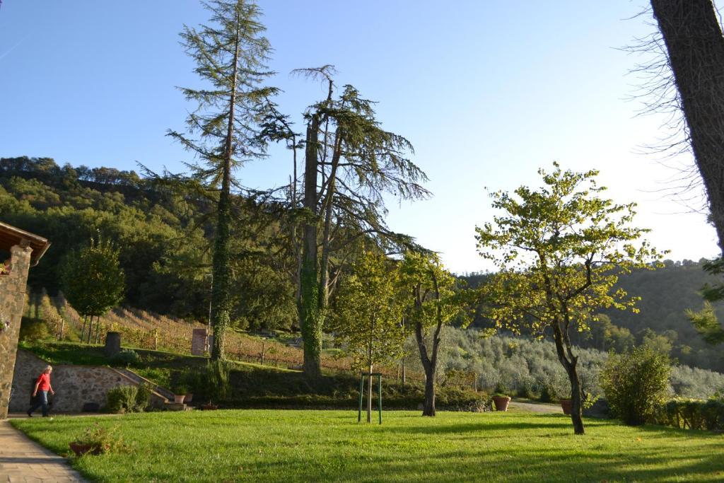 Agriturismo Lapone Orvieto Bagian luar foto